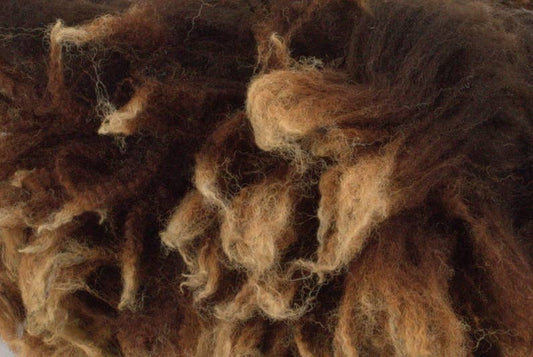 Pure British Romney Raw Coloured Fleece 100g