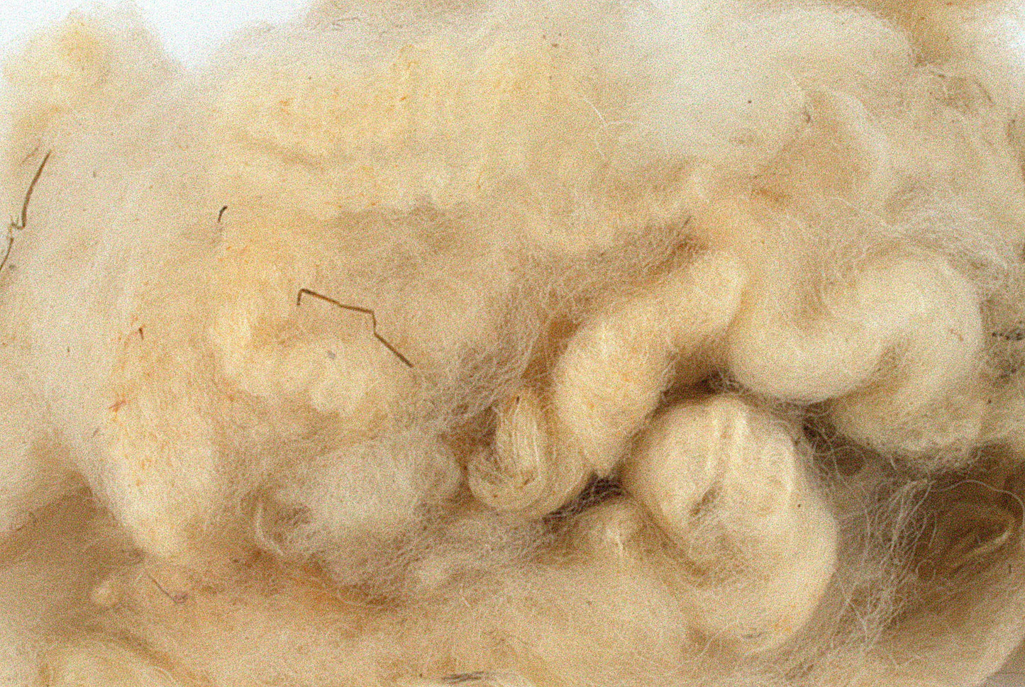 Pure British Romney Raw Fleece 100g